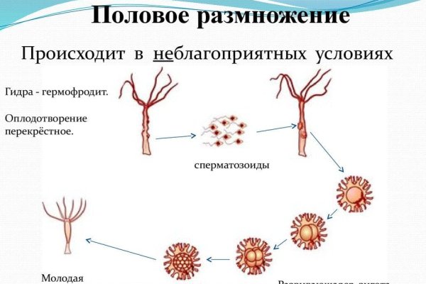 Кракен вход официальная ссылка