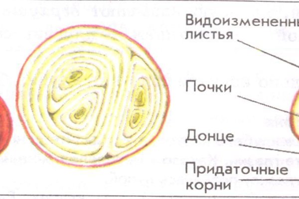 Сайт наркотиков купить